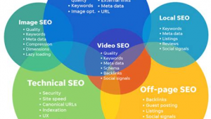 seo推广崇拜甜柚网络-网友赵德柱的博客