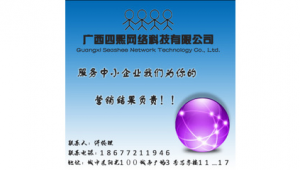 柳州专业网络推广-网友赵德柱的博客