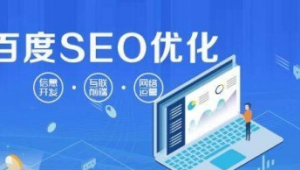 合肥seo网络优化推广-网友赵德柱的博客