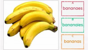 厦门网络推广定制开发-网友赵德柱的博客