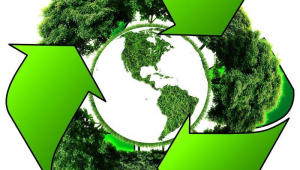 纸业网络推广咨询-网友赵德柱的博客