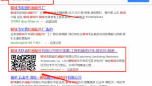 聊城网络公司网络推广-网友赵德柱的博客
