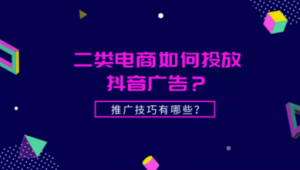 网络二类电商推广-网友赵德柱的博客