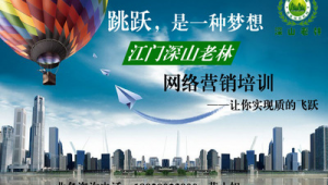 江门网络营销推广-网友赵德柱的博客