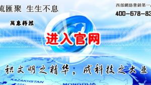 成都网络宣传推广公司