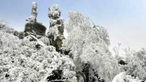 三哈平台打推广网络