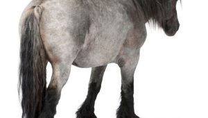 网络推广员学生能做吗-网友赵德柱的博客