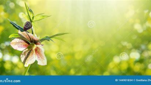 正规网络推广电话-网友赵德柱的博客