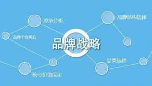 企业网络推广实施-网友赵德柱的博客