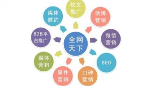 网络推广全网营销感想-网友赵德柱的博客