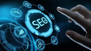 苏州网络推广seo服务-网友赵德柱的博客