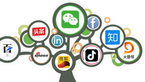 自媒体logo-网友赵德柱的博客