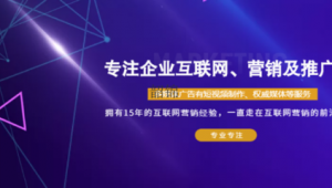 邯郸网络推广方案-网友赵德柱的博客