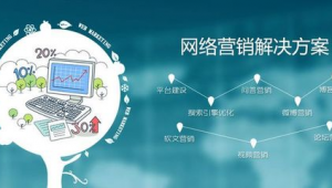 西安网络平台推广-网友赵德柱的博客