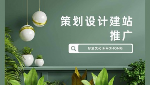 沧州网络推广外包-网友赵德柱的博客