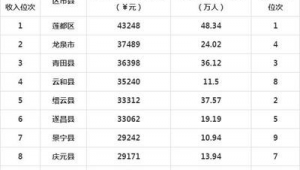 丽水市做百度排名