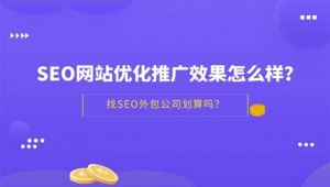 网络推广系统外包公司-网友赵德柱的博客
