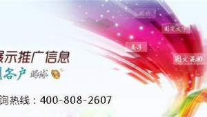 网络推广咨询电话