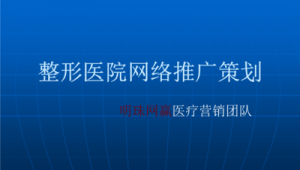 整形医院网络推广思路-网友赵德柱的博客