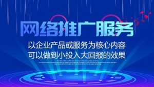 湖南网络营销策划推广