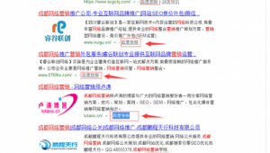 四川网络推广有哪些-网友赵德柱的博客