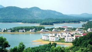 儋州市百度seo