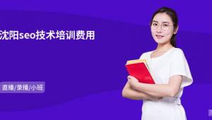 沈阳网络推广培训机构