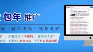 网络推广公司厉不厉害-网友赵德柱的博客