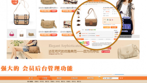 包包公司网络营销推广方案-网友赵德柱的博客