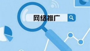 金融网络推广外包方案-网友赵德柱的博客