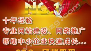 专业包年网络推广公司