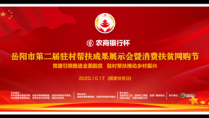 岳阳市网络推广