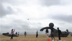 湛江网络推广-网友赵德柱的博客