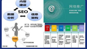网站网络推广优化-网友赵德柱的博客