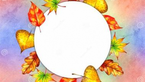 网站网络推广运营-网友赵德柱的博客