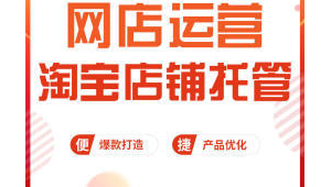 亳州网络推广代运营