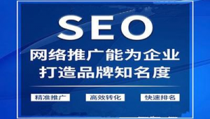 seo网络推广公司-网友赵德柱的博客