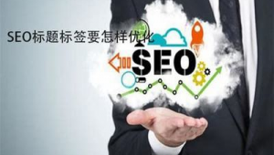 郑州seo优化网络推广