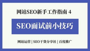 seo网络推广专员面试-网友赵德柱的博客