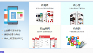 莱芜网络推广-网友赵德柱的博客