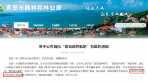 青岛网络推广推荐-网友赵德柱的博客