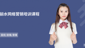 丽水市SEM
