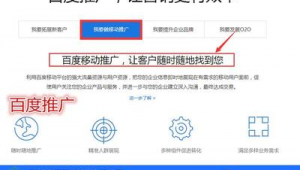 山东聊城网络推广