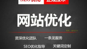 沈阳网络建站推广公司-网友赵德柱的博客