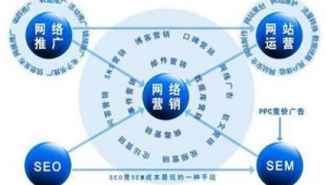 网站网络推广方案-网友赵德柱的博客