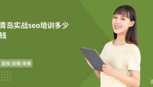 青岛seo网络推广培训-网友赵德柱的博客