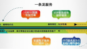 网商动力网络推广-网友赵德柱的博客