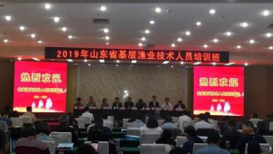 日照网络推广站-网友赵德柱的博客