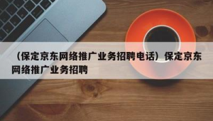 保定市网络推广