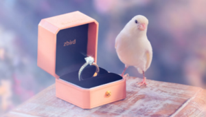 钻石小鸟网络推广-网友赵德柱的博客